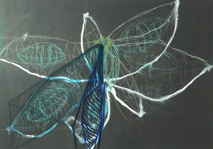 Analiza obiektu naturalnego/Alicja Walczyk/2020