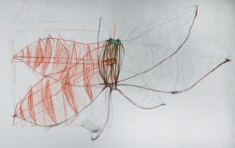 Analiza obiektu naturalnego/Alicja Walczyk/2020