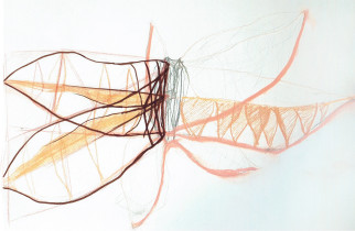 Analiza obiektu naturalnego/Alicja Walczyk/2020