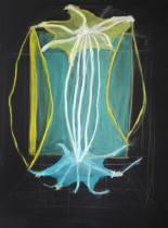 Analiza obiektu naturalnego/Alicja Walczyk/2020