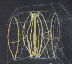 Analiza obiektu naturalnego/Alicja Walczyk/2020