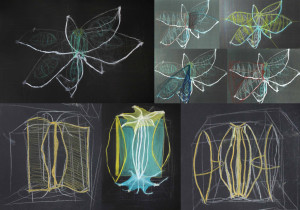 Analiza obiektu naturalnego/Alicja Walczyk/2020