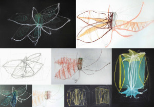 Analiza obiektu naturalnego/Alicja Walczyk/2020