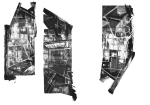 Paulina Żak - II st/2016