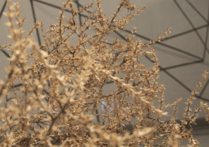 Widow wystawy Mary and Margareth, Travel Agency Collective, Galeria Kronika, Bytom, 2013