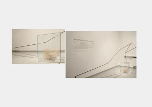 Widow wystawy Mary and Margareth, Travel Agency Collective, Galeria Kronika, Bytom, 2013