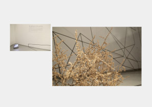 Widow wystawy Mary and Margareth, Travel Agency Collective, Galeria Kronika, Bytom, 2013