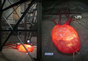 Aleksandra Mitoraj | odkrywka