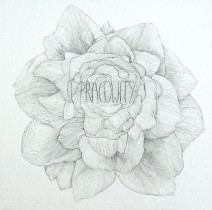 Monika Kaczmarek | słowo jako obraz