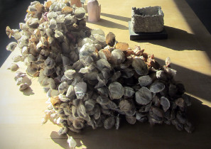 Aneta Marszałek, Iga Płachta | obiekty antymaterii