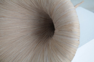 Błękit, (Materializacja niematerialnego), Monika Falkus, 2016 