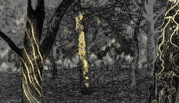 Aleksandra Gorbaszewicz