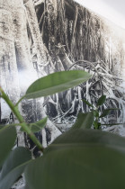 Małgorzata Szandała, Internacjonalizm: przypis do landszaftu z fikusem i szpilplacem, Instalacja w CSW Kronika w Bytomiu, 2018