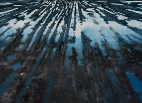 Z cyklu: "Kałuże", 2014, olej, 170 x 235 cm