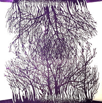 Bez tytułu, Daria Walusiak, 2015