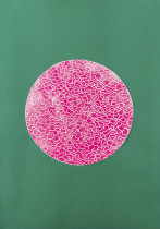 Bez tytułu, Izabela Kula, 2017