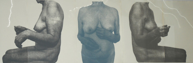 Tatiana Hajduk, bez tytułu