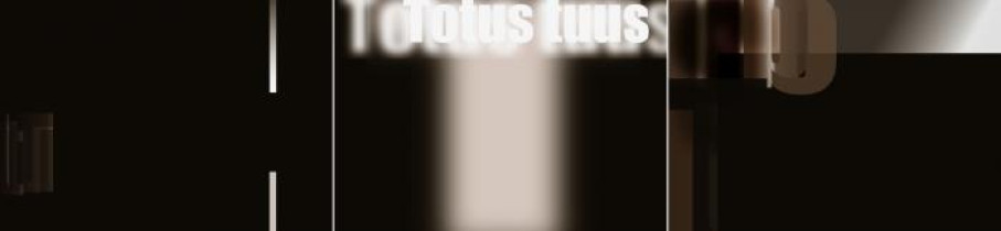 tryptyk: totus tuus, z cyklu typoobrazy dedykowany pamięci Jana Pawła II