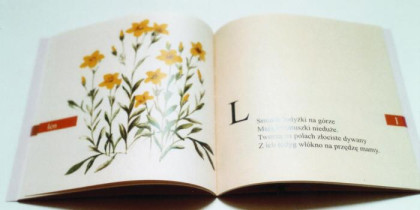 książka dla dzieci – środek