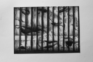 Denisa Váňová/ Erasmus