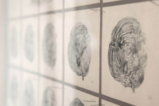 Closer (Mikrosensor), rysunki