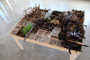  Closer (Martwa kolekcja), obiekt