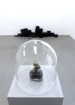 Z NADZIEJĄ |  Michalina W. Klasik | obiekt | kałamarz, ziemia,  sadzonka rośliny, klosz | 2019