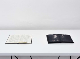 ZESZYTY |  Michalina W. Klasik |  2018/19