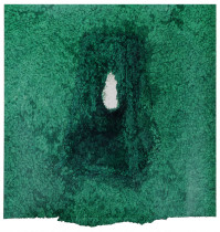 POROŚNIĘTY RYSUNEK POROŚNIĘTEJ RZECZY | PORASTANIE/POWRACANIE |Michalina W. Klasik | rysunek | 21x21,5 cm | 2020