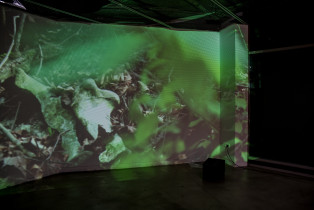 Maciej Cholewa - „Obserwator” | video + instalacja | 2016