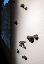 Maciej Cholewa - „Obserwator” | video + instalacja | 2016