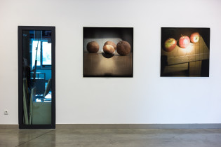 Prześwietlenie – wernisaż wystawy