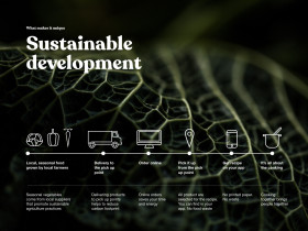 Projekt identyfikacji wizualnej marki promującej zdrowe nawyki żywieniowe / Patrycja Kędzierska / 2019