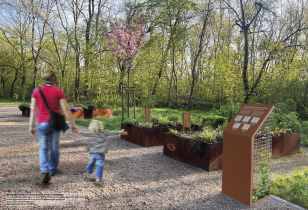 Re-design tablic informacyjnych w Parku Zamkowym, Zuzanna Kotowska, 2025