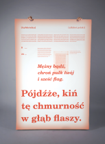 Nagroda Rektorów 2016, Julia Parchimowicz, ASP Gdańsk