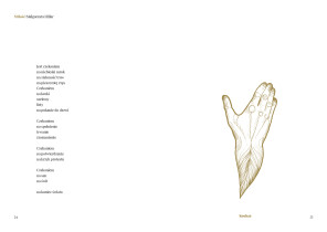 Maciej Smuda / Projekt tomiku poezji miłosnej - publikacja uwzględniająca komunikację os&oacute;b słyszących i niesłyszących / 2018