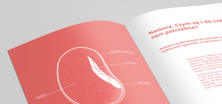 Aneta Węgrzyn / Domowa uprawa zi&oacute;ł. Zestaw materiał&oacute;w informacyjnych / 2018