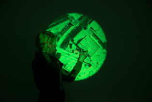 Portretu natura martwa