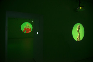 Portretu natura martwa