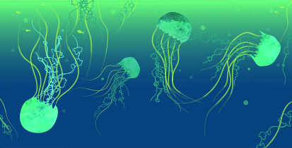 WYRÓŻNIENIE JURY DZIECI: Barbara Kinach – Podwodny świat. Opowiadam