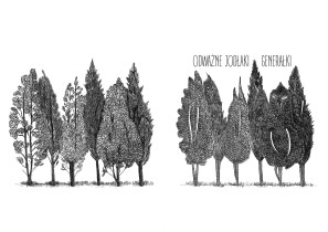 NAGRODA WYDAWNICTWA FORMAT: Alicja Kolińska – To tylko drzewo