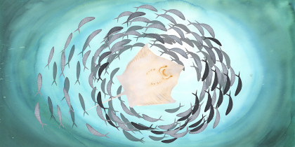 II NAGRODA JURY DZIECI: Aleksandra Kosakowska – Przygody małej płaszczki