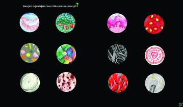 WYRÓŻNIENIE JURY DZIECI: Zofia Lasocka – ?