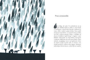 WYRÓŻNIENIE JURY: Monika Syposz – Tajemniczy ogród