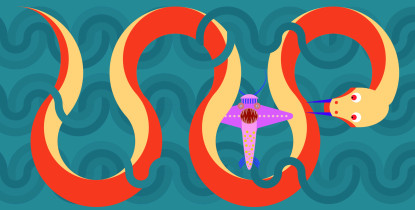 I NAGRODA JURY DZIECI: Aleksandra Szlęk – Yummy!