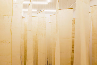 Biblioteka pszczół, 2024