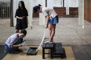 Słowa pszczół, Japonia, 2024