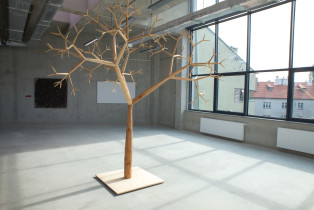 Raciborska 50 – interdisciplinary studio