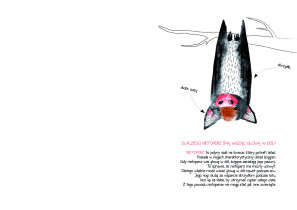 WYR&Oacute;ŻNIENIE JURY DZIECI: Alicja Kupniewska &ndash; Dlaczego wiele miłych zwierząt zachowuje się tak dziwnie?