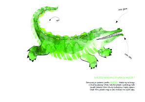 WYR&Oacute;ŻNIENIE JURY DZIECI: Alicja Kupniewska &ndash; Dlaczego wiele miłych zwierząt zachowuje się tak dziwnie?